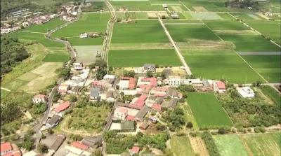 湖北培育出16个优质水稻新品种江陵县连片种植20万亩优质稻 