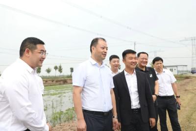 全运宝到白马寺镇开展下基层察民情解民忧暖民心实践活动