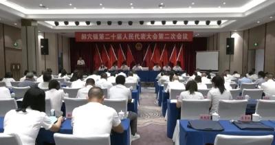 郝穴镇第二十届  人民代表大会第二次会议召开
