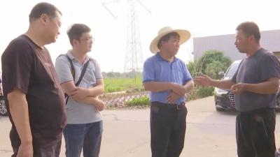 游艾青调研“千里江陵”  区域公用品牌水稻品种  展示示范基地