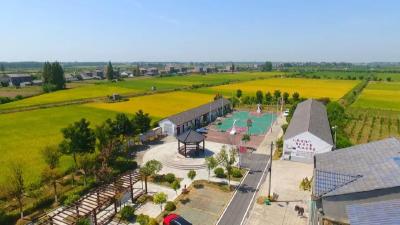 共同缔造丨村民共建房前净了村庄靓了