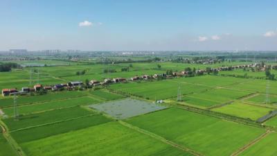 江陵：大力推进耕地开垦 先行项目成效明显