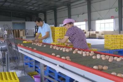 江陵这家公司，重产量更重质量