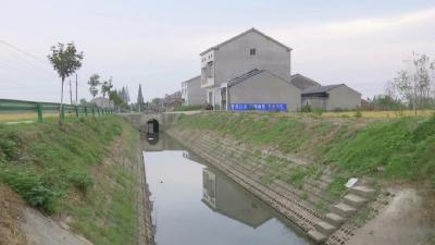 沙岗镇：老台区建起了新农庄
