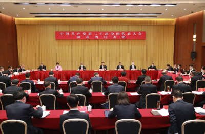 湖北代表团召开全体会议 认真学习讨论党的二十大报告