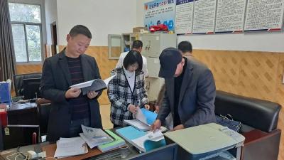 县农业农村局、县水利和湖泊局对秦市乡2022年度农田水利基本建设项目进行验收
