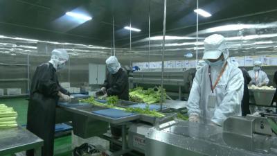 预制菜如何炼成？看看江陵这家企业怎么做 