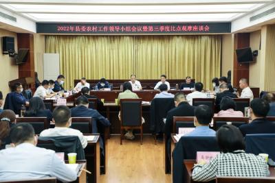 江陵县召开县委农村工作领导小组暨第三季度比点观摩会