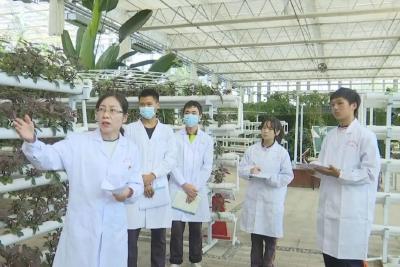 湖北省现代农业技师学院：课堂搬到田间 培育兴农“后浪”