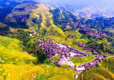 广西大寨村和重庆荆竹村入选联合国世界旅游组织“最佳旅游乡村”