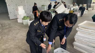 江陵县开展节前农产品质量安全检查 