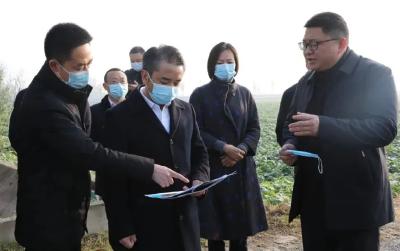 李先刚调研蓝星岛生态修复、长江村研学基地等项目建设工作 