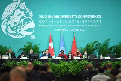 综述：国际社会赞扬中国引领和推动全球生物多样性保护 