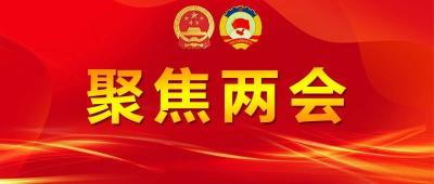政协江陵县第七届委员会第二次会议召开提案审查委员会会议