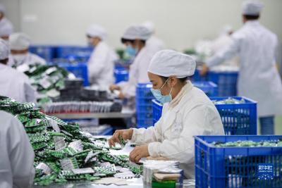 药企开足马力生产 加大药品供应