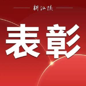 荆州发布重磅名单！江陵这些集体和个人受到隆重表彰