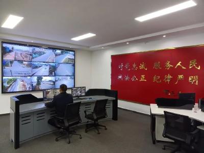 江陵：科技赋能基层社会治理，让乡村更平安