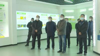 国家级农业产业园北京专家组考察江陵