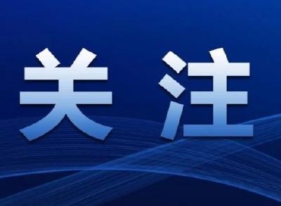 春节禁鞭