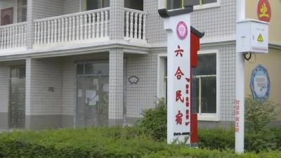 江陵：临湖赏花，农家小院变民宿