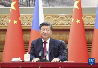 习近平同捷克总统泽曼举行视频会晤