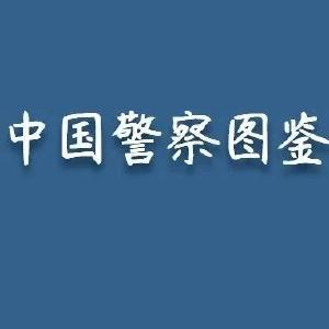 110的“110种身份”