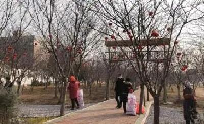 江陵县六合垸樱花谷：小红灯笼高高挂 新年味道浓