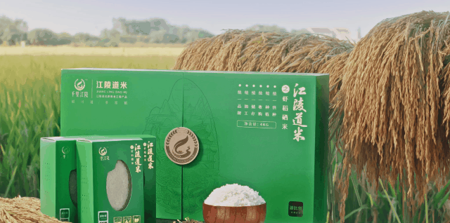 荆州市城管委考核我县2022年度工作