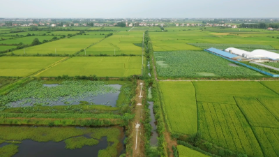 江陵：抢抓农闲空档期 全力推进高标准农田建设