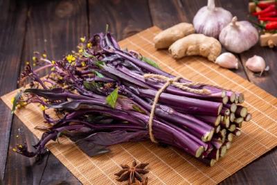 江陵县：红菜苔圆我致富梦