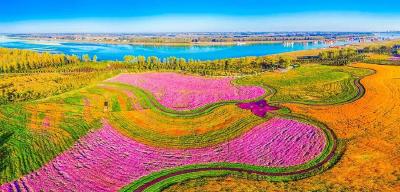 千里江陵｜一岛苍翠欲滴青
