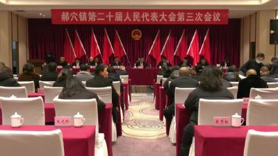 郝穴镇第二十届人民代表大会第三次会议召开