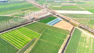 江陵县马家寨乡：党建引领 激活乡村振兴“一池春水” 