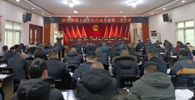 沙岗镇召开第十届人民代表大会第三次会议
