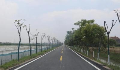 熊河镇荣获省级“四好农村路”示范乡镇称号