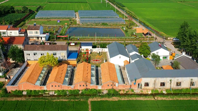 村民当股东，江陵县古榆树农庄的共享实践