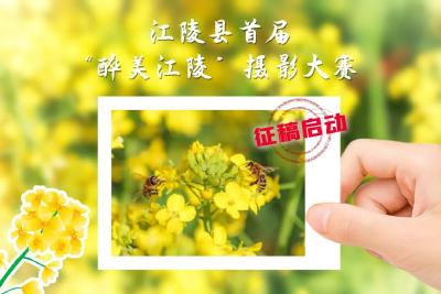 拍摄拿奖金！快用镜头定格“醉美江陵”吧
