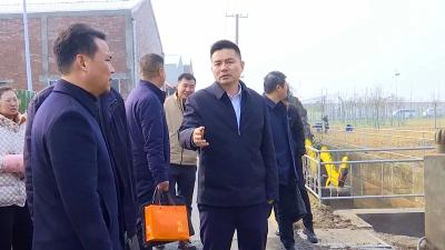 杨锋调研县域研学工作