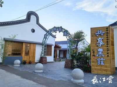 村里有了荣誉书记和发展顾问