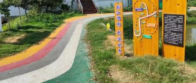 江陵县郝穴镇荆江村：共建共享 打造乡村振兴样板村