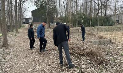 马家寨乡开展违法耕地占用整治