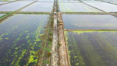 六合垸管理区：高标准农田建设如火如荼 助力虾稻产业双优化
