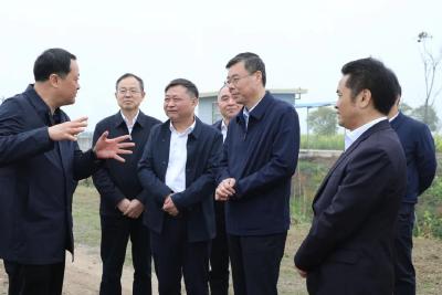 吴海涛调研江陵高标准农田建设项目