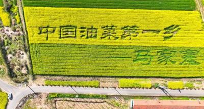 精彩花絮抢先看