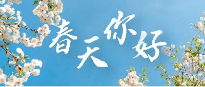花开江陵｜我在等花也在等你