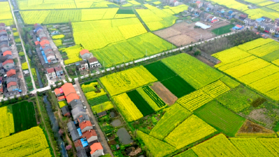 大军湖村：村民共建幸福路