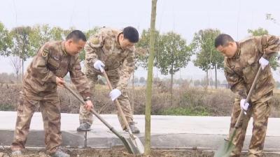 县人武部组织开展义务植树活动