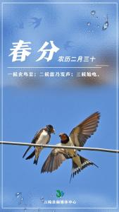 春分细雨润江陵