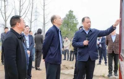 熊晓飞专题调研江陵县稳增长暨惠企政策落实情况