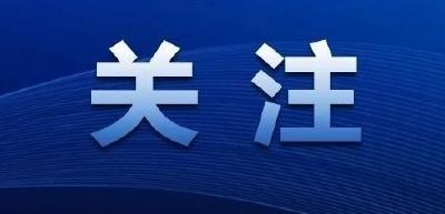 首届楚文化节时间定了